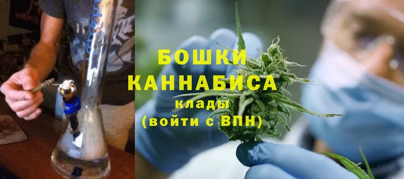 хочу   Советск  Каннабис White Widow 